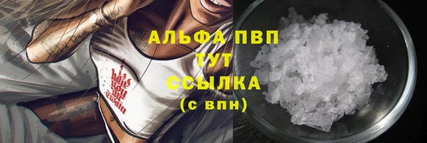 дмт Абаза