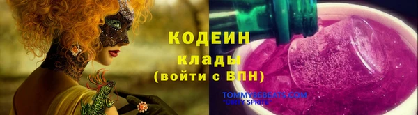 дмт Абаза