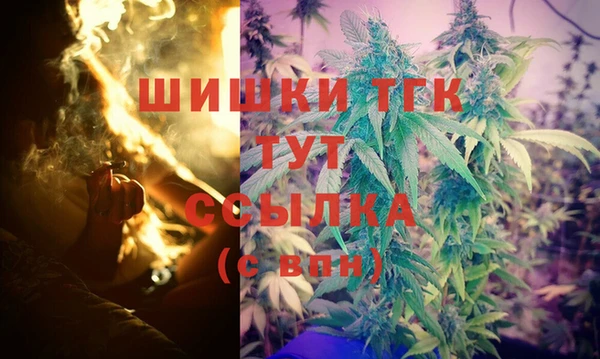 амф Новокубанск