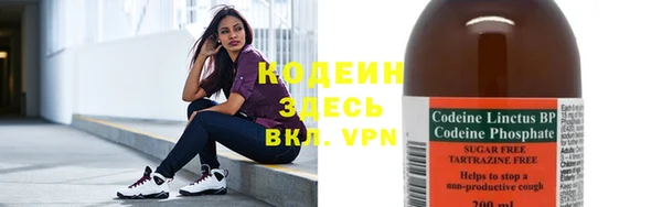 дмт Абаза