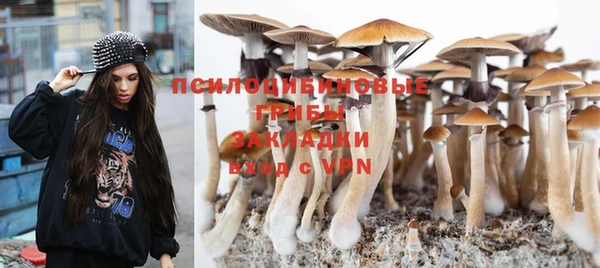 jwh Новозыбков