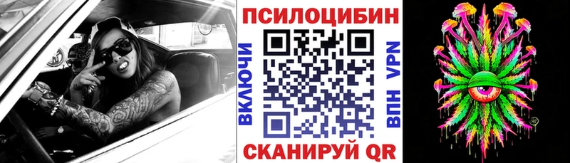 цены   Поворино  Псилоцибиновые грибы мицелий 